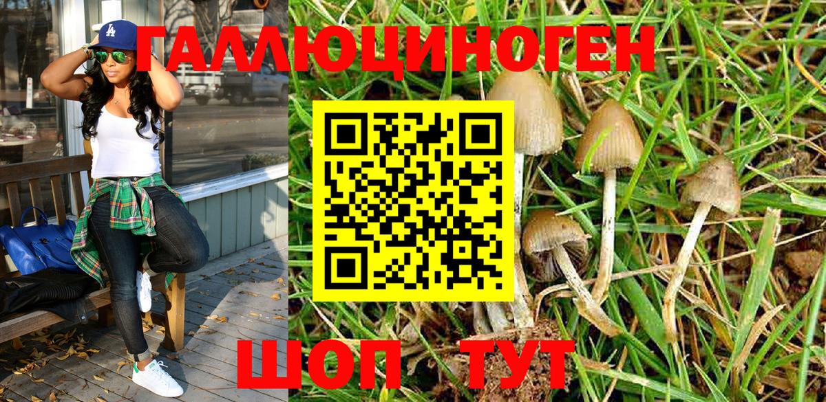 Галлюциногенные грибы Psilocybe  Вход с VPN  Северск 